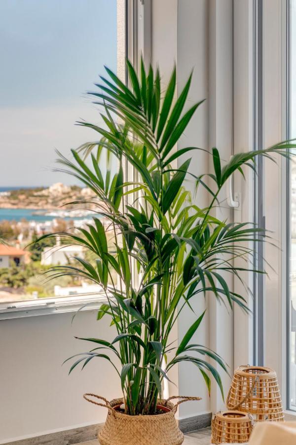 Villa Mare Syros Finikas  Esterno foto